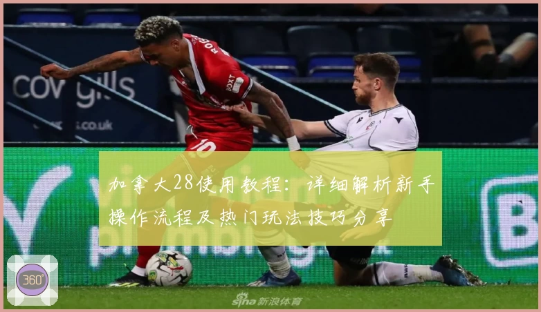 加拿大28使用教程:详细解析新手操作流程及热门玩法技巧分享