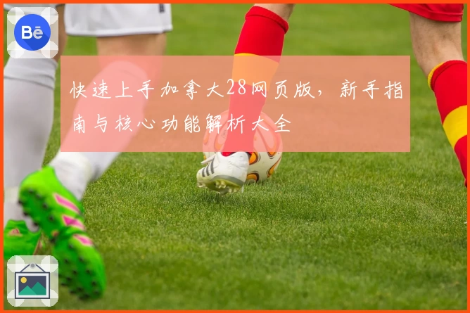 快速上手加拿大28网页版，新手指南与核心功能解析大全