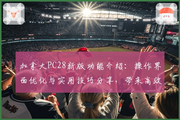 加拿大PC28新版功能介绍：操作界面优化与实用技巧分享，带来高效便捷使用体验