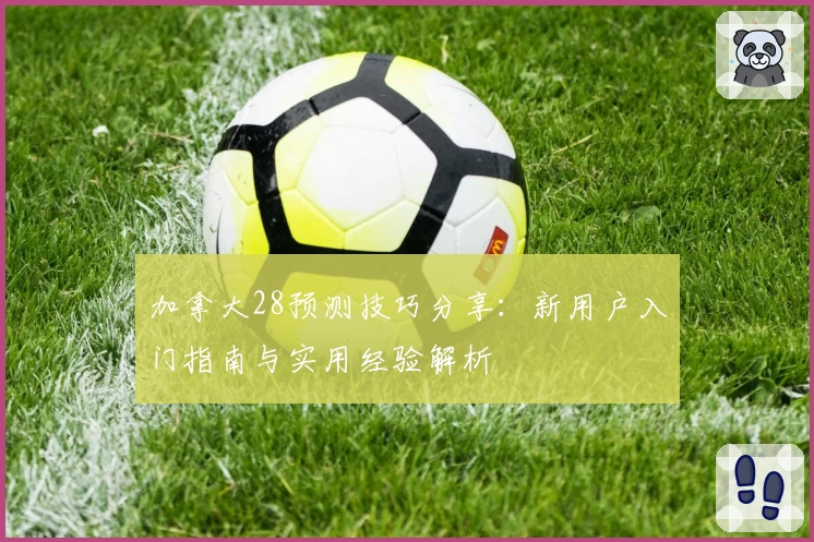 加拿大28预测技巧分享：新用户入门指南与实用经验解析