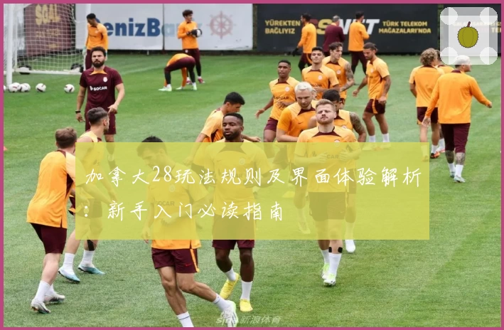 加拿大28玩法规则及界面体验解析：新手入门必读指南