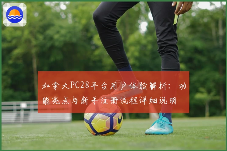 加拿大PC28平台用户体验解析：功能亮点与新手注册流程详细说明