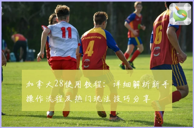 加拿大28使用教程：详细解析新手操作流程及热门玩法技巧分享