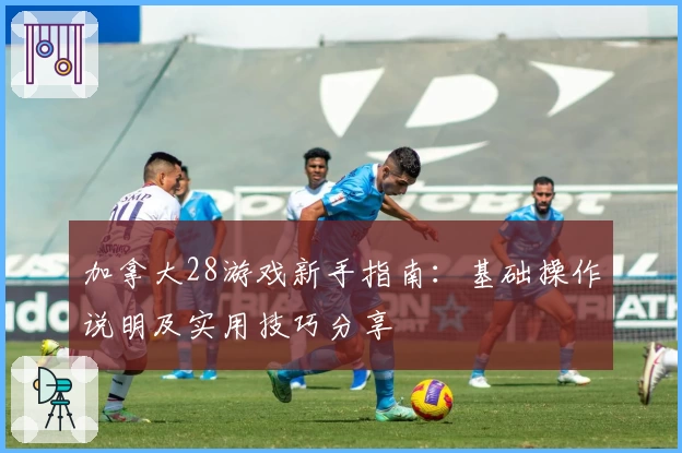 加拿大28游戏新手指南：基础操作说明及实用技巧分享