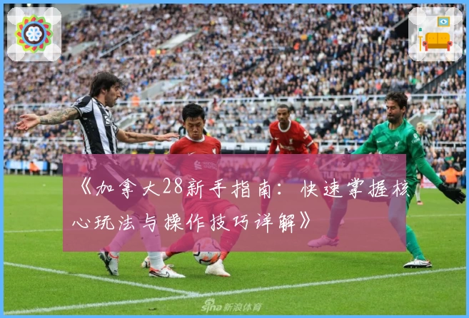 《加拿大28新手指南：快速掌握核心玩法与操作技巧详解》