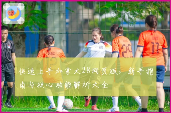 快速上手加拿大28网页版，新手指南与核心功能解析大全