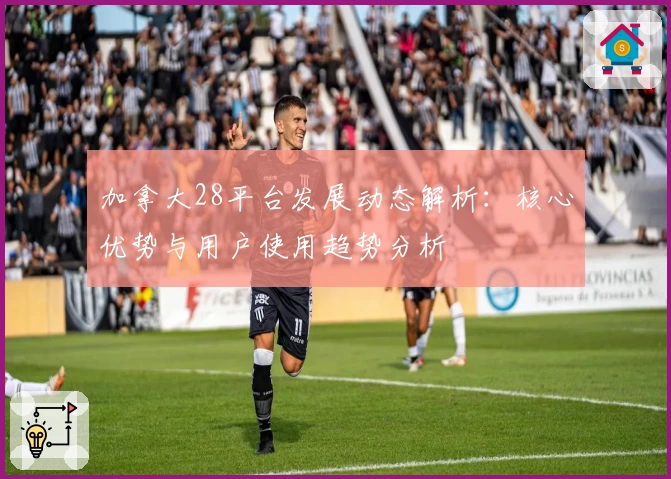 加拿大28平台发展动态解析：核心优势与用户使用趋势分析