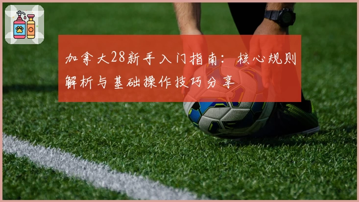 加拿大28新手入门指南：核心规则解析与基础操作技巧分享