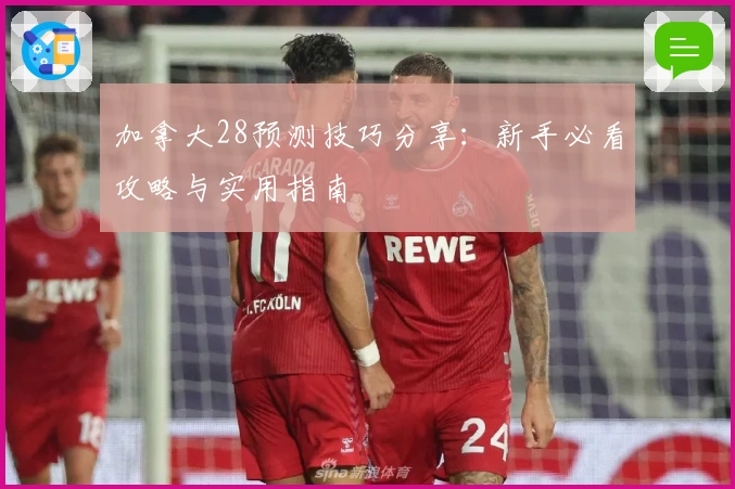 加拿大28预测技巧分享：新手必看攻略与实用指南