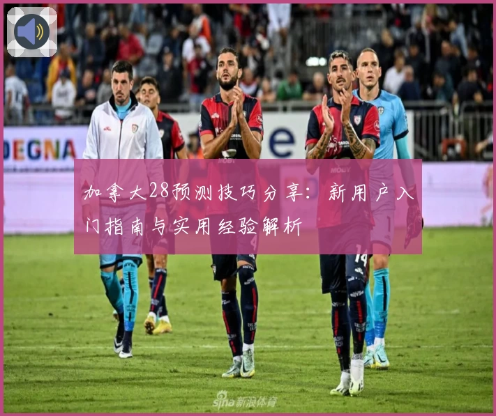 加拿大28预测技巧分享：新用户入门指南与实用经验解析