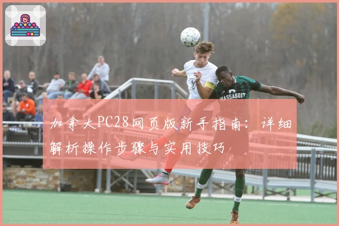 加拿大PC28网页版新手指南：详细解析操作步骤与实用技巧