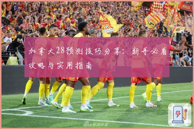 加拿大28预测技巧分享：新手必看攻略与实用指南