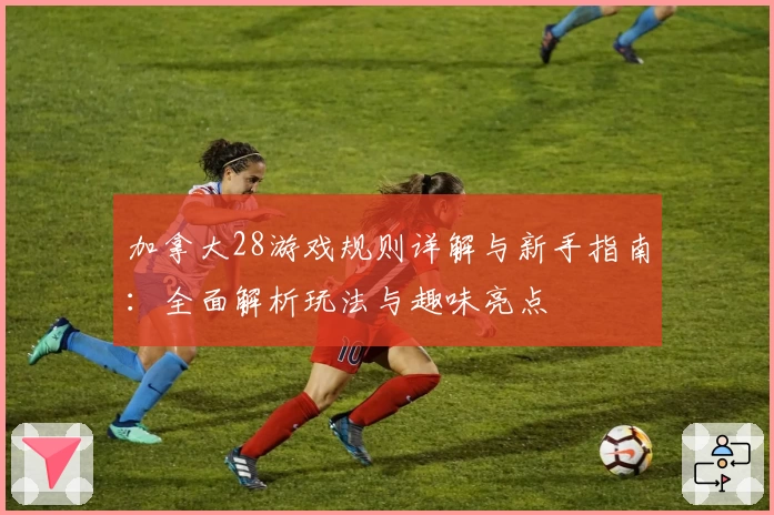 加拿大28游戏规则详解与新手指南：全面解析玩法与趣味亮点