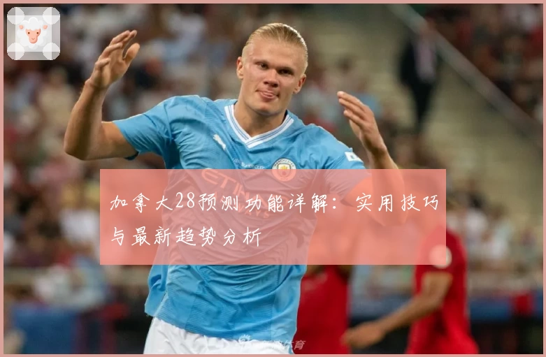加拿大28预测功能详解：实用技巧与最新趋势分析